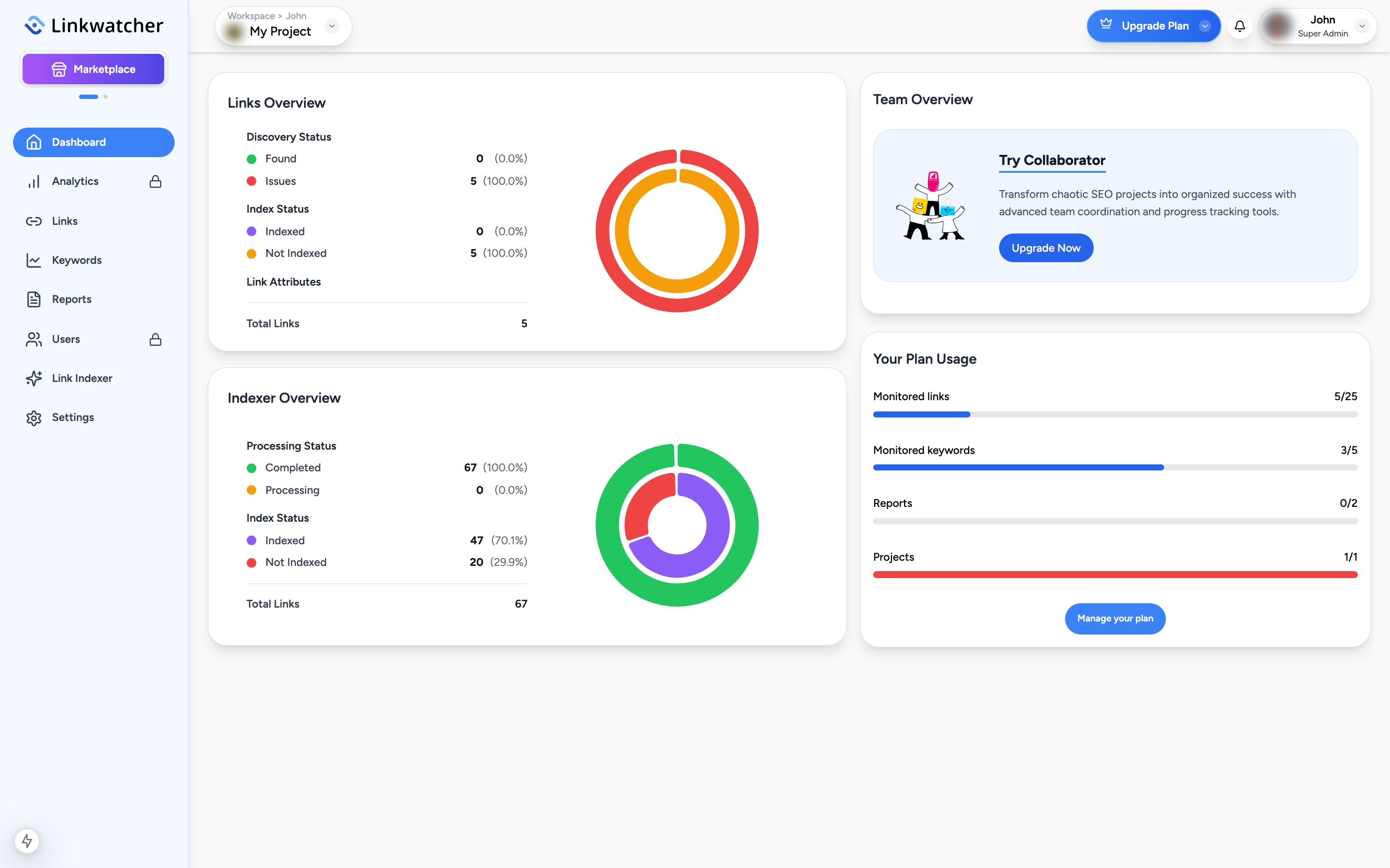 Dashboard showing the Links Overview chart, Indexer Overview, and Team Overview panels